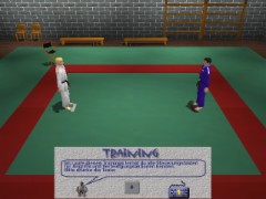 3D Judo Fighting Demo 1.07